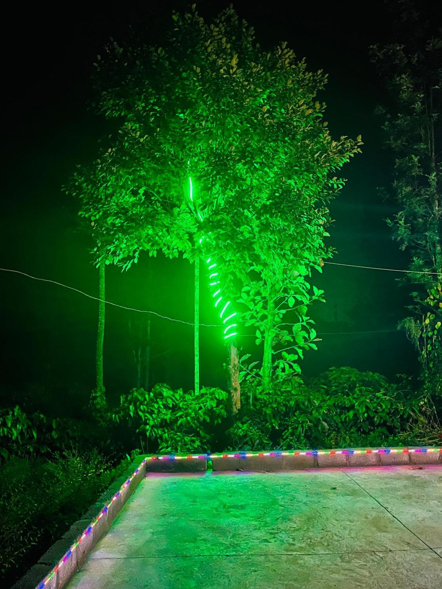 Preetham Homestay Kushālnagar Dış mekan fotoğraf